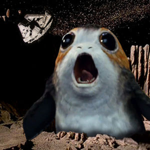 Meet your Posher, Josh